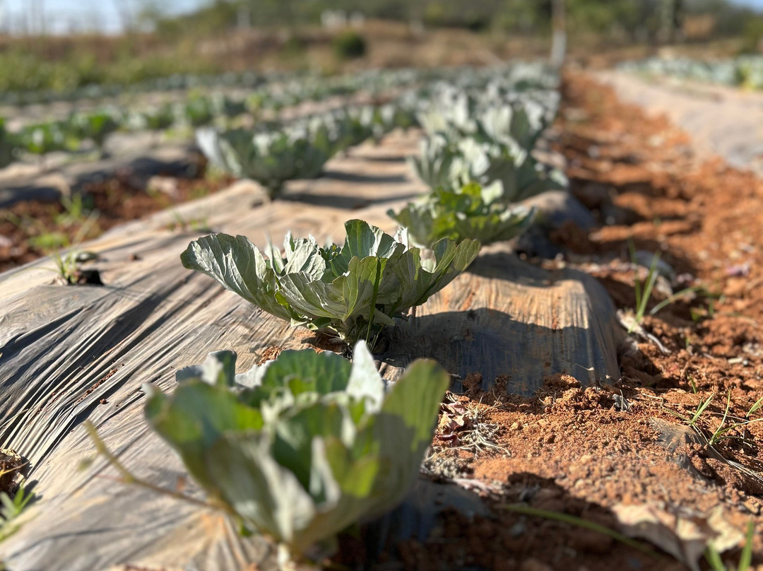 Kshemavana-Bangalore District必去景点