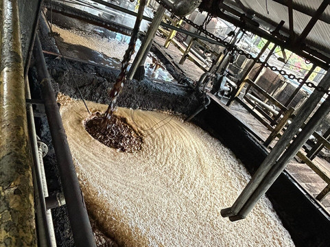 Hampden Estate-法尔茅斯必去景点