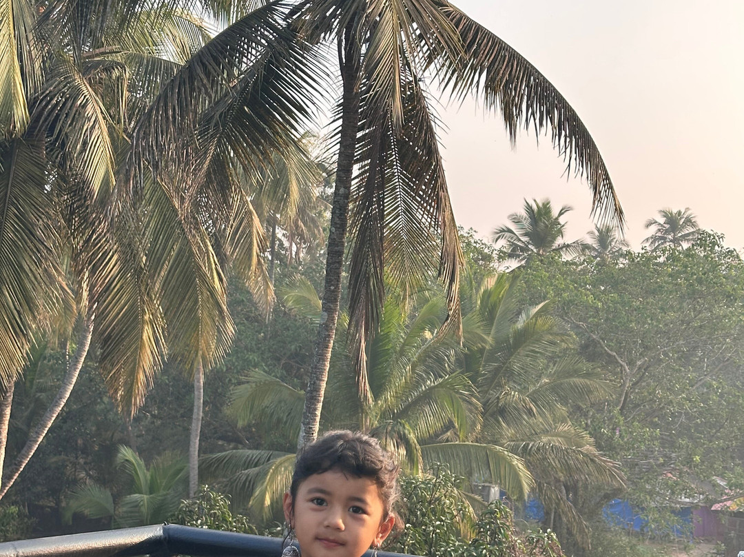 TreeHouse Blue Hotel & Villas 树屋蓝色酒店及别墅主图