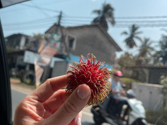 Sri Lanka Tour with Sujeewa-Kandana必去景点