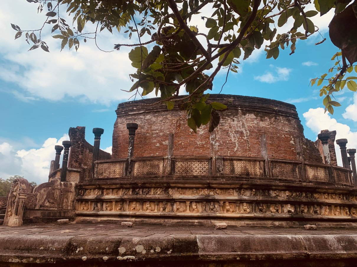 Wild View Stay-官方