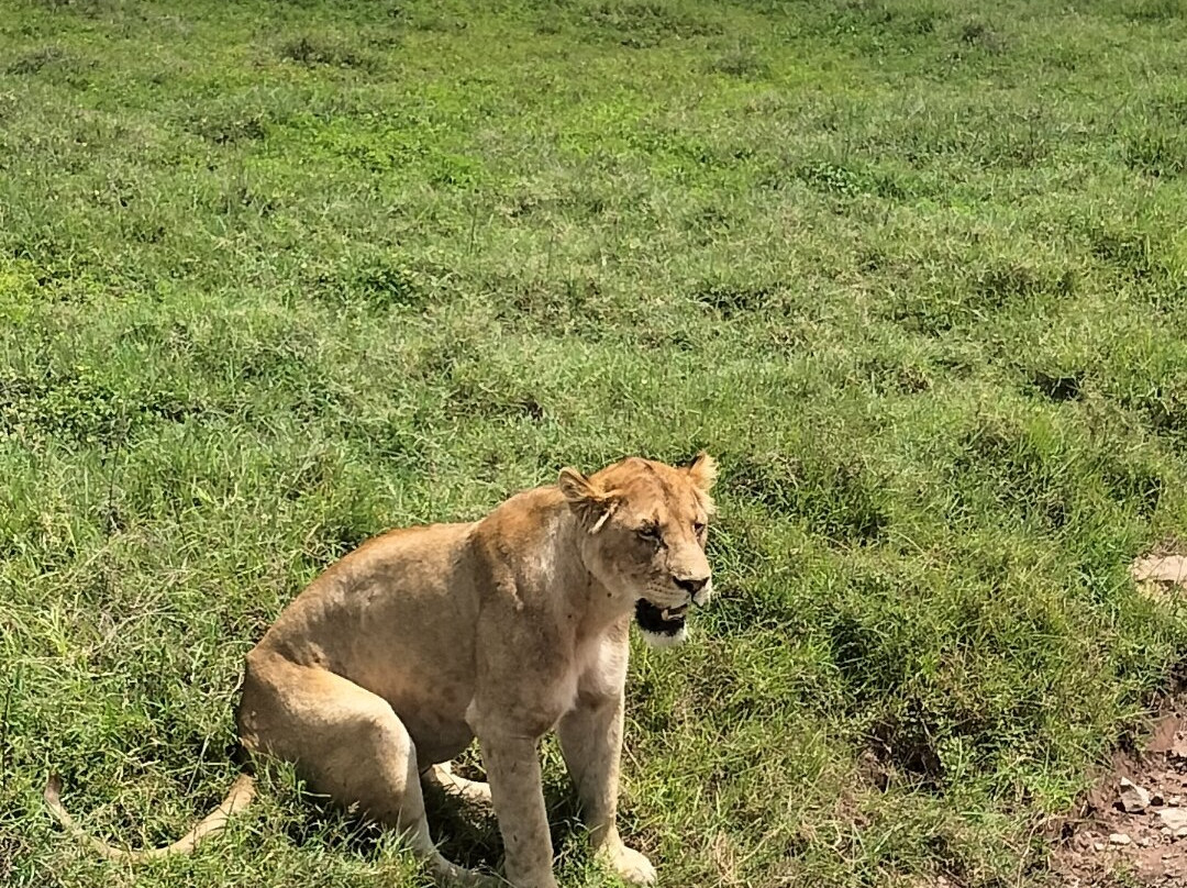 Eden Tours and Travel-桑给巴尔岛必去景点