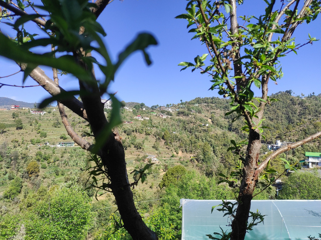 Orchard Hill Retreat主图