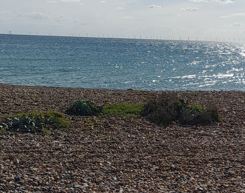 Enjoy Shoreham-by-sea-Shoreham-by-Sea必去景点