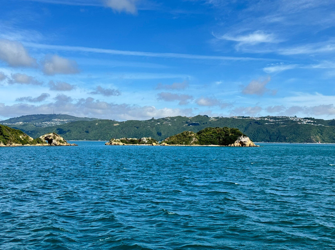 East By West Ferries-惠灵顿必去景点