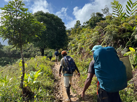 Masoala Nature Guide and Tours Organize-Maroantsetra必去景点