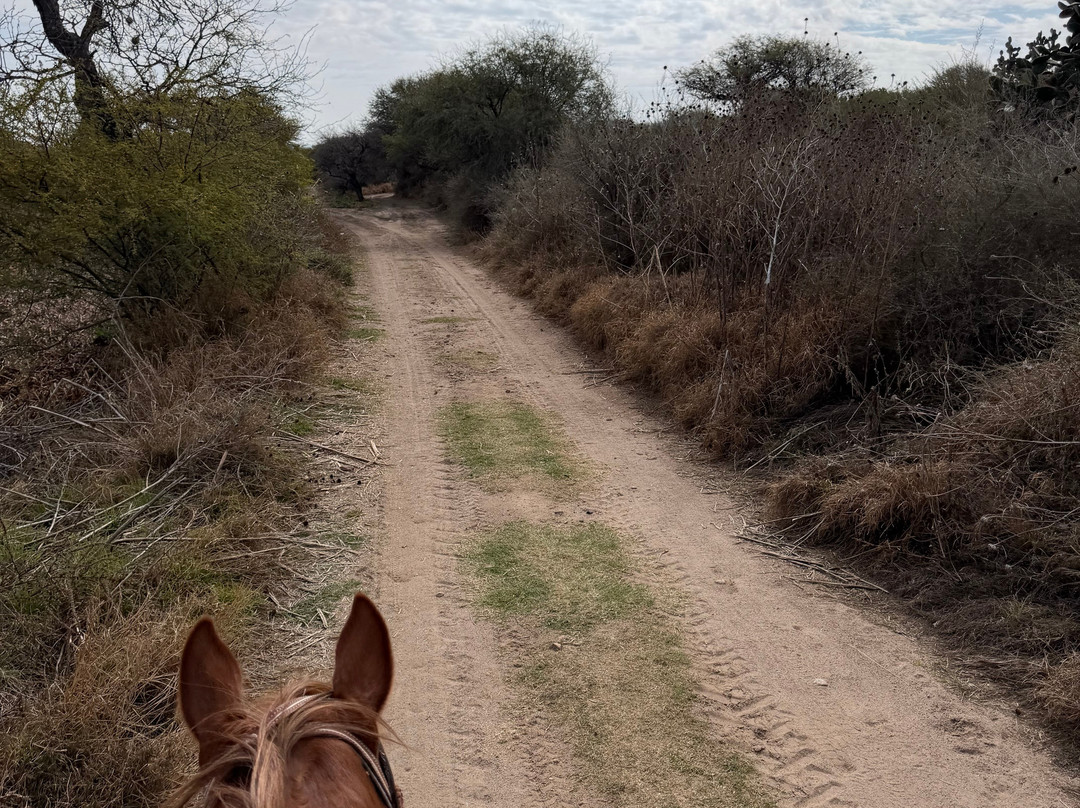 Cabalgando En Tequis-Tequisquiapan必去景点