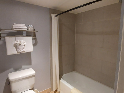 棕榈花园贝斯特韦斯特酒店主图