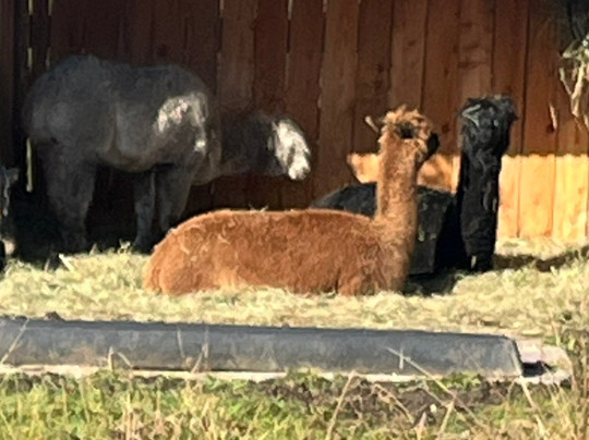 Peak Wildlife Park-Winkhill必去景点