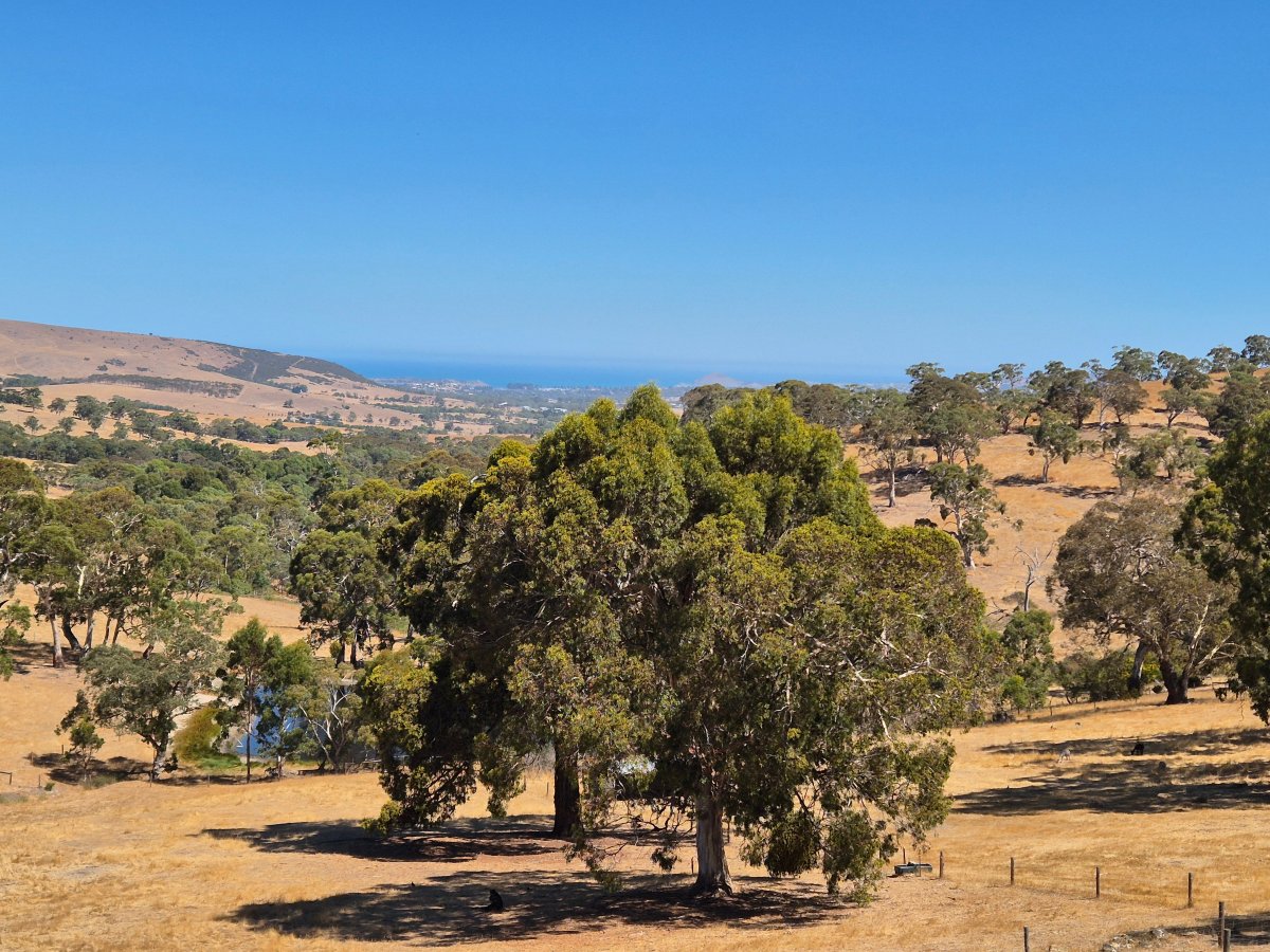 海景休闲度假酒店-酒店景观