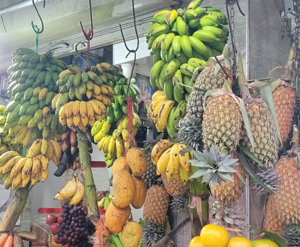 Lanka Tour Driver-Hingurakgoda必去景点