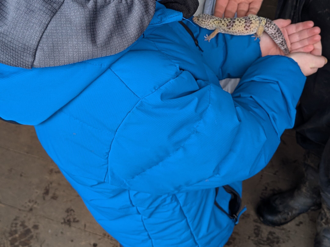 Burntwood Alpaca and Animal Experience-Burntwood必去景点