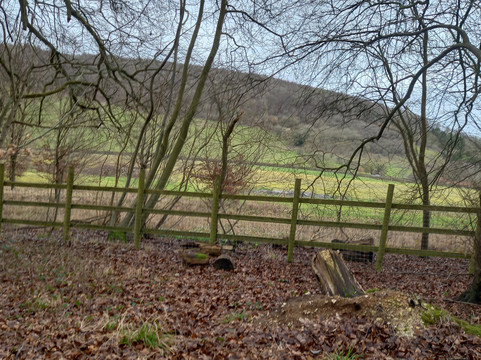 Saint Mary-Le-More-沃灵福德必去景点