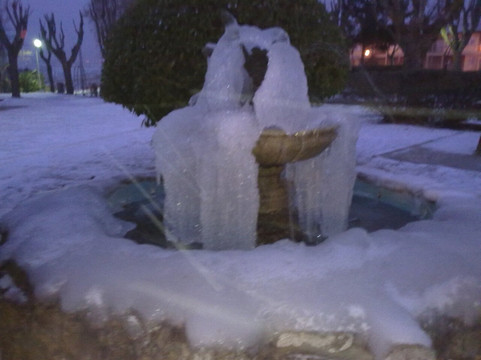 Bar Restaurante Asociación Familiar San Antonio