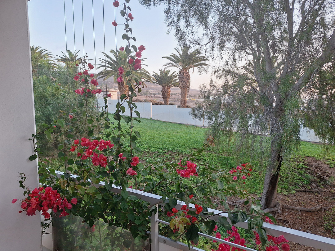 Allsun Hotel Esquinzo Beach主图