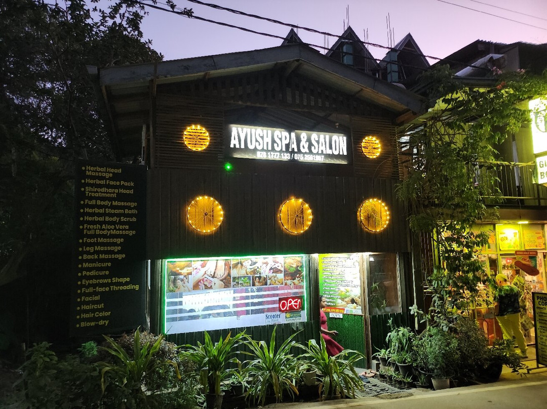 Ayush Spa & Salon-埃勒必去景点