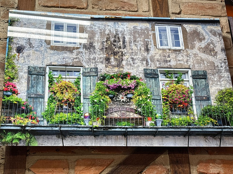 Joseph Walton Photography-新奥尔良必去景点