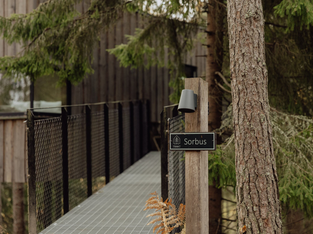 Trakt Forest Hotel主图