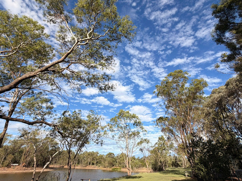 Goondiwindi Botanic Gardens of the Western Woodlands-Goondiwindi必去景点