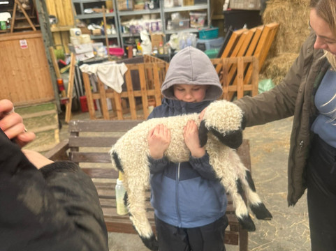 Walking the goats at Lower Coates-巴恩斯利必去景点