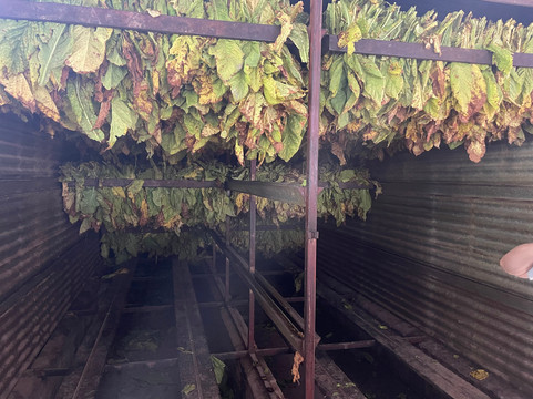 SAYTA-Chicoana必去景点