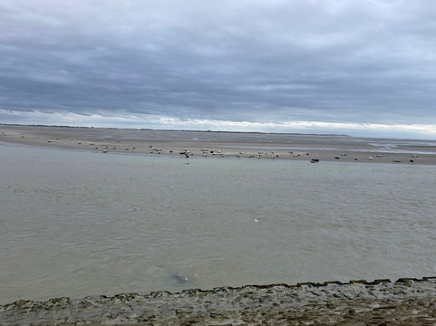 Club Nautique Berckois-Berck必去景点