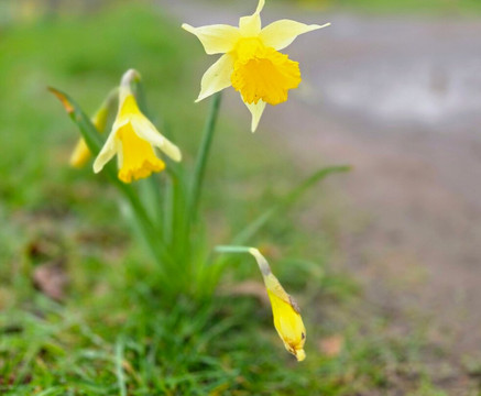 Packwood House-Lapworth必去景点