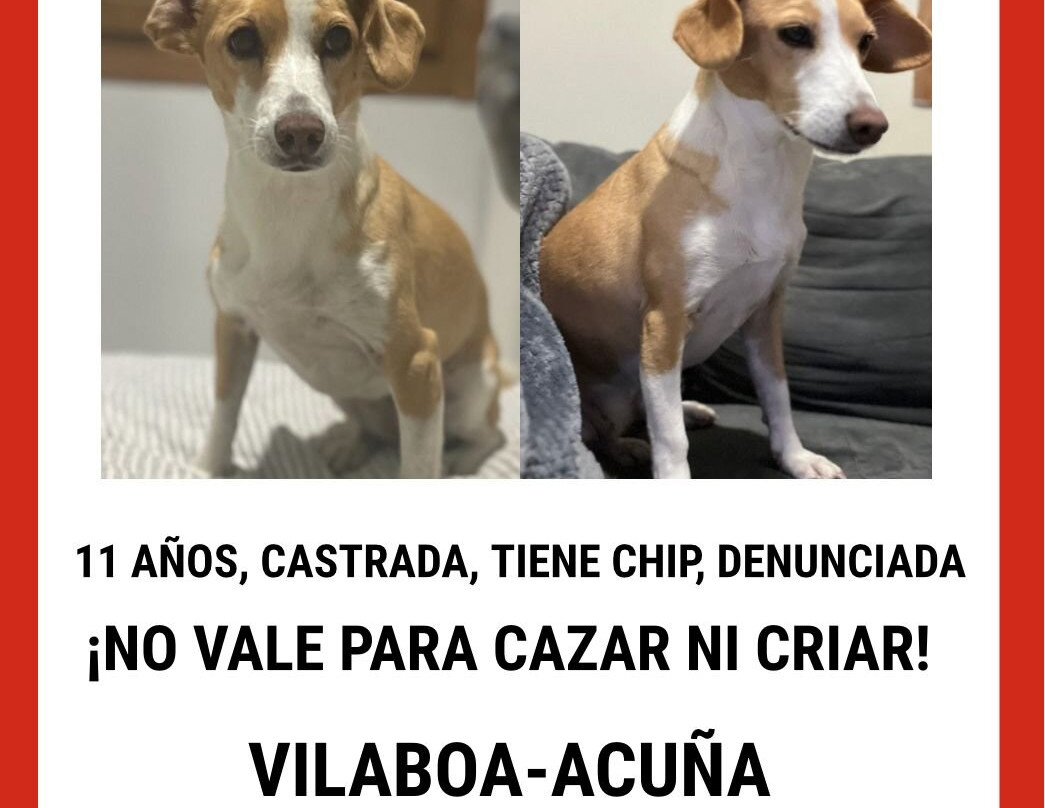 Salinas do Ulló-Vilaboa必去景点