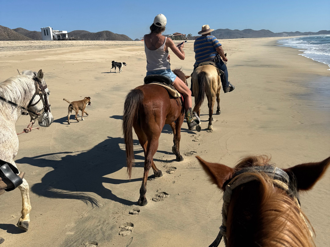 Cerritos Cowboy-Playa Cerritos必去景点