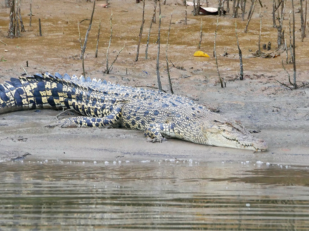 Kuantan River Cruise-关丹必去景点