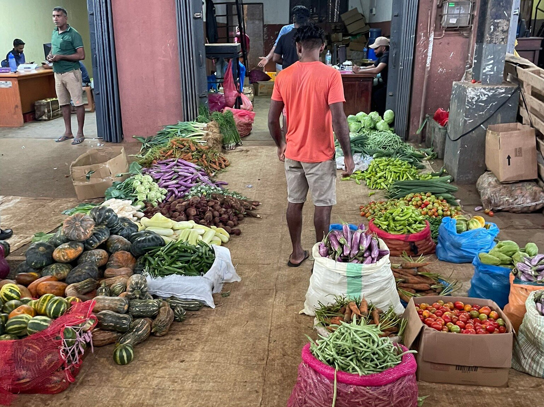 Wonder Sri Lanka Tours-卡图纳耶克必去景点