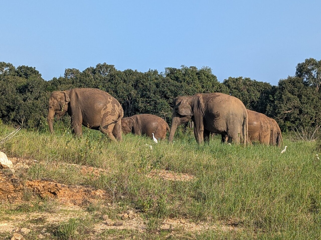 Lucky Holiday-Mirigama必去景点