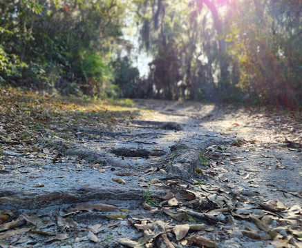 Fort Caroline National Memorial-杰克逊维尔必去景点