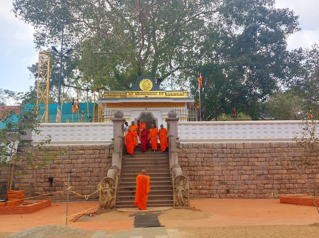 Tours Lanka with Manoj-尼甘布必去景点