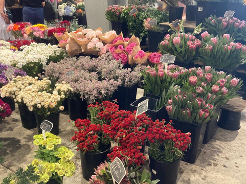 车场空间-悉尼必去景点