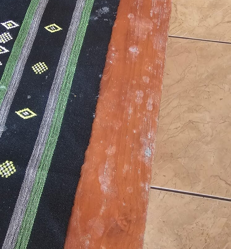 科莫多弗洛雷斯套房酒店主图