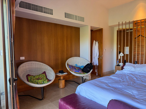 哥斯达黎加W酒店-莱瑟瓦康洽尔主图