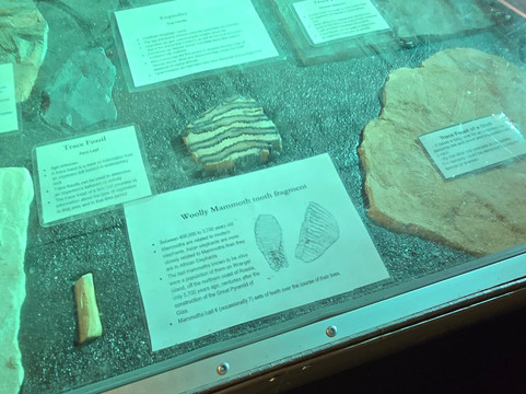 Jurassic Quest-Conroe必去景点