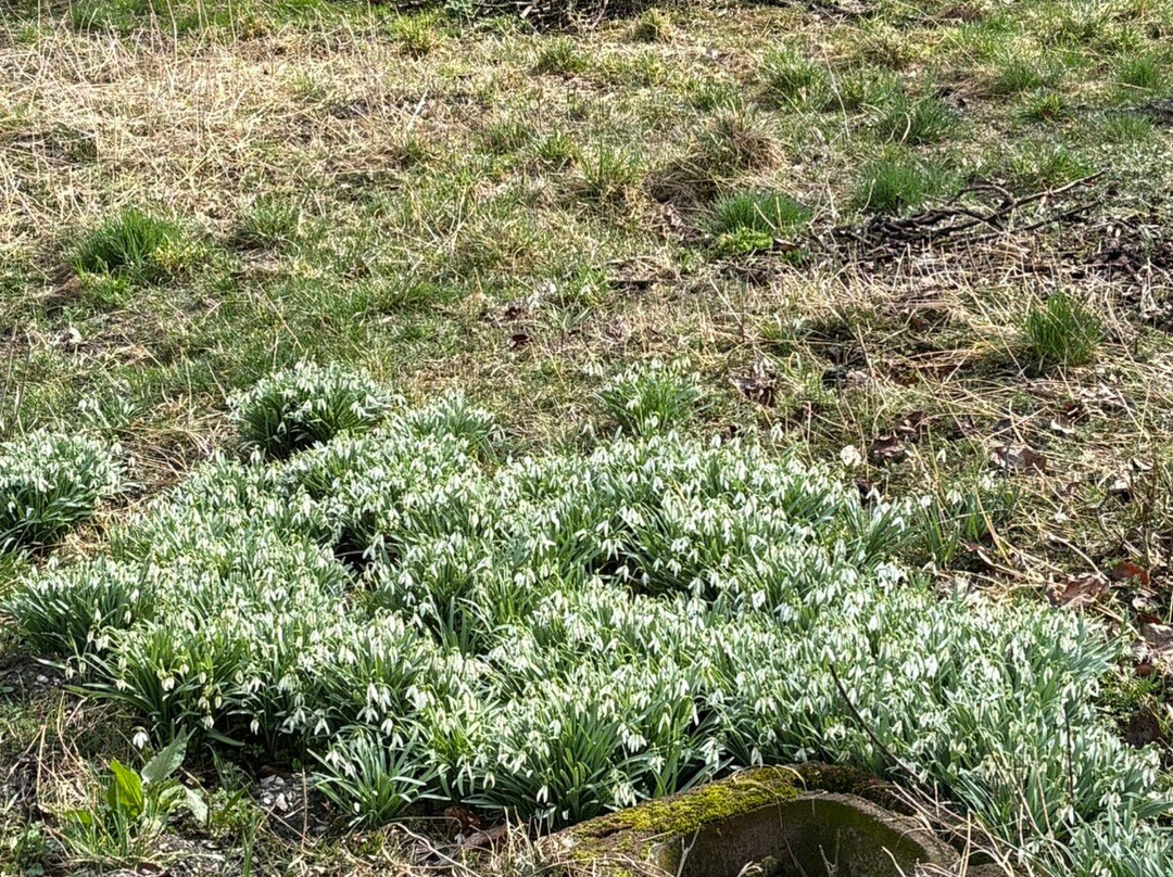 Eglise de Venosc-Vénosc必去景点