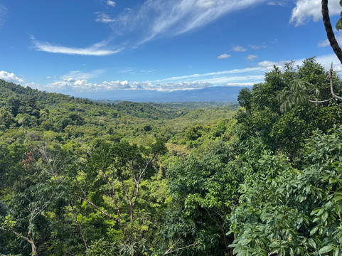 Las Cruces Biological Station and Wilson Botanical Garden-San Vito必去景点