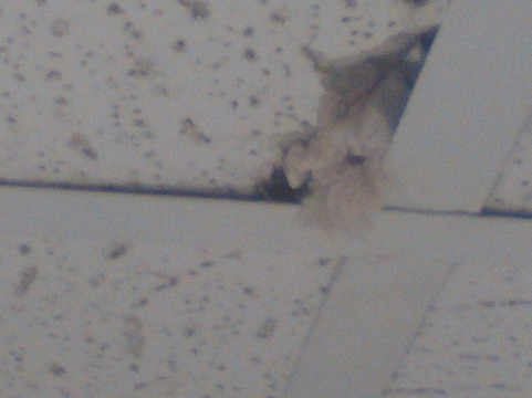 莫林-阔德城凯艺套房酒店主图