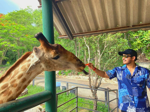 The Bonanza Exotic Zoo-北冲县必去景点
