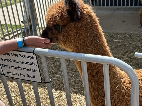 Winchester Creek Farm-韦恩斯维尔必去景点