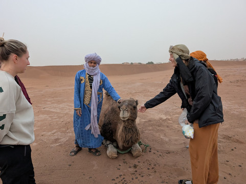 The Desert Star-迈哈米德必去景点