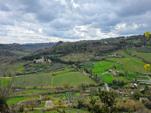 Tuscan Private Driver-科尔托纳必去景点