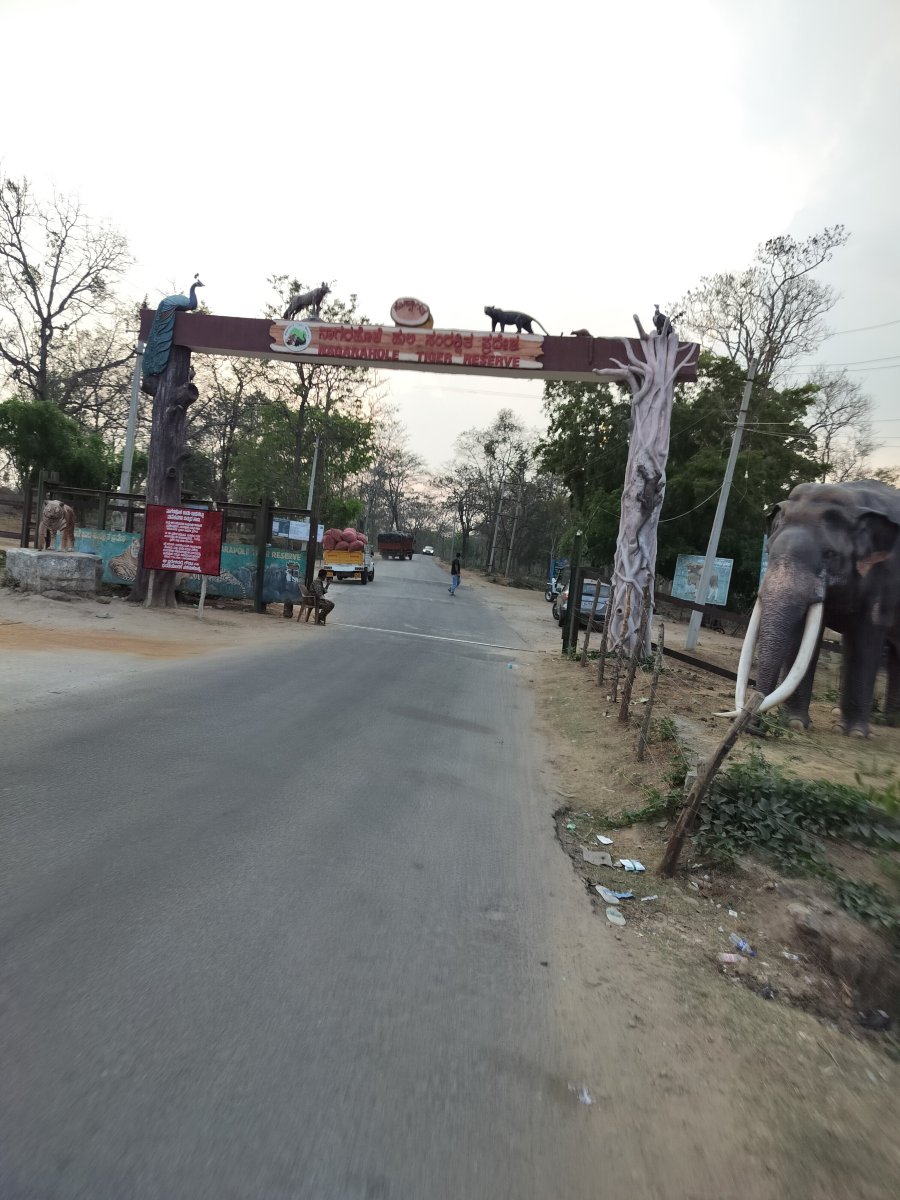 卡比尼泉旅馆-官方