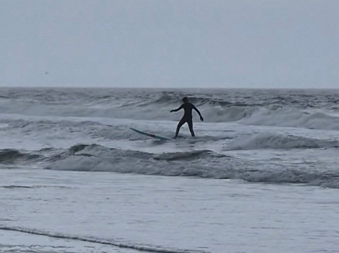 Tony Silvagni Surf School-卡罗来纳比奇必去景点