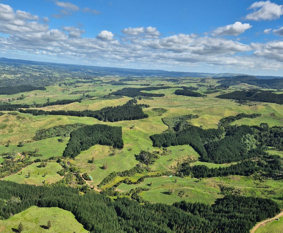 Adventure Helicopters-芒格努伊山必去景点