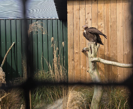 Millets Farm Centre-弗里福德希斯必去景点