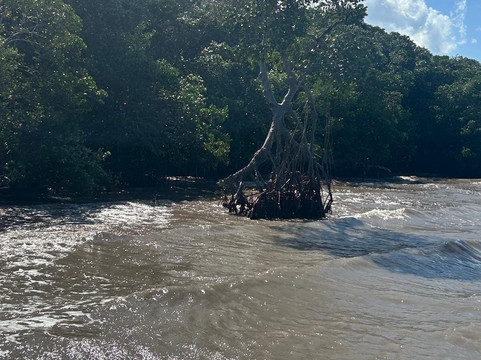 Yalahau Lagoon-Holbox Island必去景点